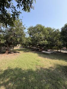 Příroda nedaleko rezortu