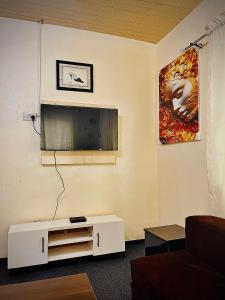 Μια τηλεόραση ή/και κέντρο ψυχαγωγίας στο Cozy 1 Bedroom Apartment Ikeja GRA