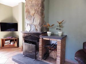 a fireplace in a living room with two potted plants at Ziggy's Mountain Retreat in Vilaflor