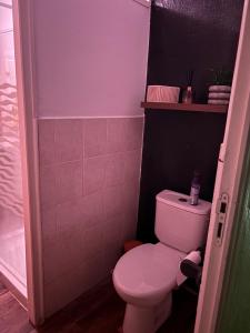 a bathroom with a white toilet and purple walls at Chambre au domaine du moulin du pont in Aurignac