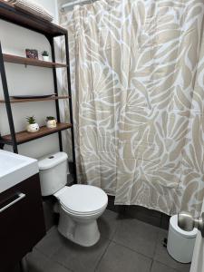 a bathroom with a toilet and a shower curtain at Luminoso estudio para 3 personas en Ovalle in Ovalle