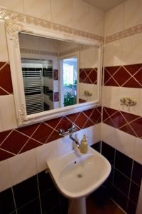 un baño con lavabo y espejo en Noclegi Pałacowe u Moniuszki, 