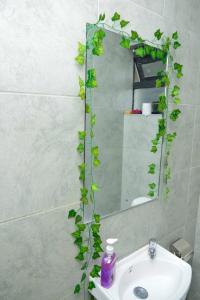 La salle de bains est pourvue d'un lavabo et d'un miroir avec une plante. dans l'établissement Stay With Moraa, à Ongata Rongai 