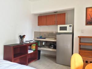 eine kleine Küche mit einem Kühlschrank und einer Mikrowelle in der Unterkunft Villa Costa Chica Comodisimo piscina gigante jardines in Acapulco