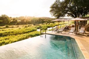 een zwembad met stoelen en parasols naast een veld bij Last Word Kitara in privé-wildreservaat Klaserie