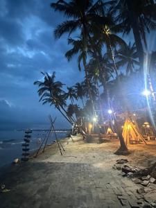 a beach with palm trees at night at Song Anh Mui Ne Guesthouse in Mui Ne +50 photos