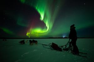 een groep mensen in de sneeuw onder het poollicht bij Aurora Lake Lodges in Ranua +4 foto's