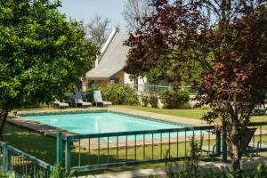 a swimming pool in the yard of a house at RiverBend Lodge in Addo