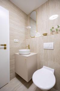 a bathroom with a toilet and a sink and a mirror at Apartmán Riviéra 3 in Banská Bystrica