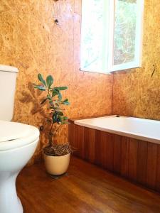 Ένα μπάνιο στο El albardon