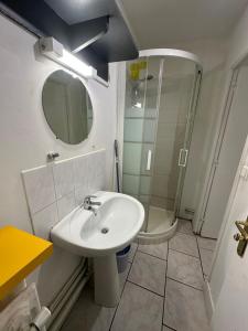 a bathroom with a sink and a shower at Appartement 2 chambres au coeur de St Cyr avec parking privé in Saint-Cyr-sur-Loire