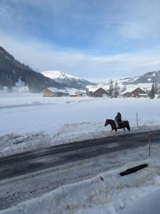 a person riding a horse down a road in the snow at Hoamatl in Tannheim