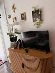 a flat screen tv sitting on top of a wooden cabinet at Appartement convivial à Équemauville de 36 m² avec jardin in Équemauville +24 photos