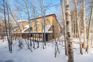 Το RMR: Columbine 1011 Condo in The AspensWilsonWY τον χειμώνα