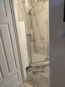 a shower with a glass door in a bathroom at Willa Maja in Ciechocinek