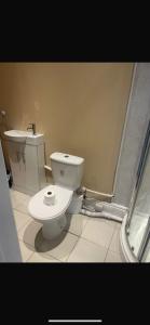 a bathroom with a toilet and a sink at Levy Nook 8 in Darlington