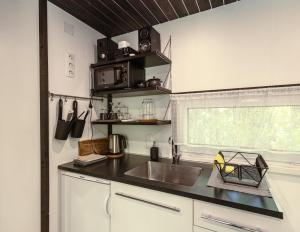 una cocina con fregadero y encimera en Meža māja, en Zaķumuiža 34 fotos más