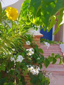 Κήπος έξω από το Studio Jean-Pierre Vue sur Mer pour les familles