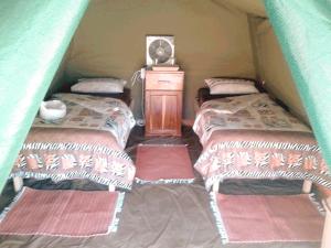 Postel nebo postele na pokoji v ubytování Tsubes Petrified Forest Tented Camp