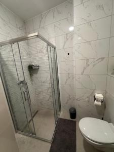 Železnička Stanica Banja Luka PredgrađeSpa Apartman Love&Spa的带淋浴和卫生间的浴室 更多4张照片