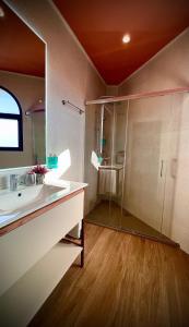 a bathroom with a sink and a shower at Puerta de la Ribera Centro in Córdoba