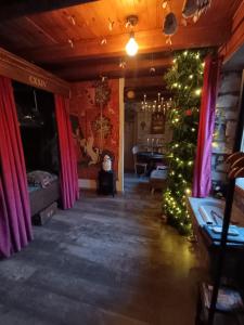 a living room with a christmas tree in a room at La Pensine du célèbre sorcier in Bourogne