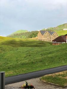 a view of a field with a house and a road at Ferienwohnung Stoos in Stoos +6 photos