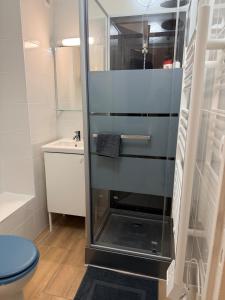 a shower in a bathroom with a toilet and a sink at Studio aux portes d'Orly & Paris in Athis-Mons