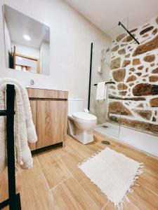 a bathroom with a toilet and a shower at Casa dos Sequeiras Port Rosé in Vila Nova de Gaia
