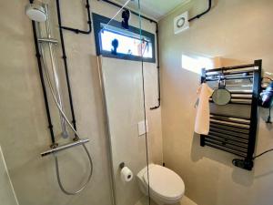 a bathroom with a shower with a toilet and a glass door at Tiny House The Cabin in Peize +28 photos