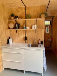 a kitchen with a sink and wooden walls at Tiny House The Cabin in Peize