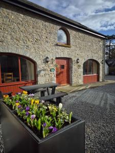 a building with a picnic table and flowers in front of it at Hobby Stable Cottage in Cynghordy