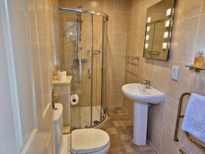 a bathroom with a shower and a toilet and a sink at Hobby Stable Cottage in Cynghordy +9 photos