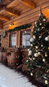 オシュチュニツァにあるHotel Marleneの丸太小屋前のクリスマスツリー