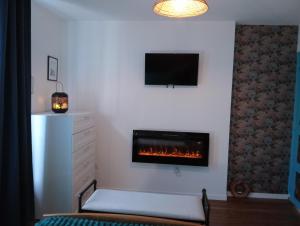 a living room with a fireplace and a tv at L'atelier du vélo in Sully-sur-Loire