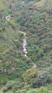 einen Berg mit einem Fluss inmitten eines Waldes in der Unterkunft streem View in Masuri