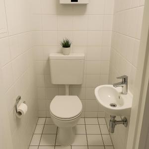 a white bathroom with a toilet and a sink at Monteur- und Ferienwohnung Bensheim in Bensheim