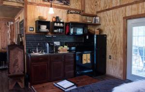Η κουζίνα ή μικρή κουζίνα στο Charming Pet-Friendly Accommodation on a Beautiful Property near Caney Fork, Tennessee +12 φωτογραφίες