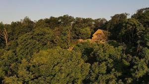 a house on top of a hill with trees at Modern Mountaintop Cabin with a gorgeous view in Great Cacapon