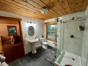 a bathroom with a toilet and a sink and a shower at Modern Mountaintop Cabin with a gorgeous view in Great Cacapon