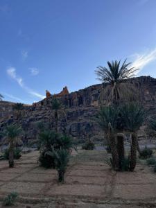 un desierto con palmeras y una montaña en Gite d'tape handour, en Hamdour