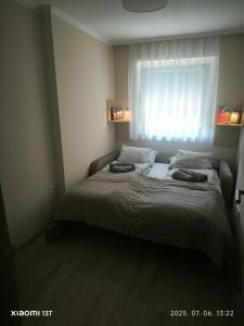 DöbrönteにあるDöbrönte MagLakの枕が2つ付いたベッドと窓のある寝室