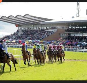 a group of people riding horses on a race track at Country Home in Ratoath