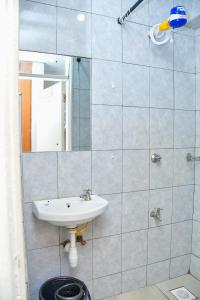 een badkamer met een wastafel en een spiegel bij Mex Homes Studio Apartment in Nairobi