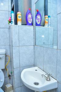 een badkamer met een wastafel en schoonmaakproducten op planken bij Mex Homes Studio Apartment in Nairobi