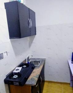 Η κουζίνα ή μικρή κουζίνα στο Short let apartments Lekki Ajah Lagos