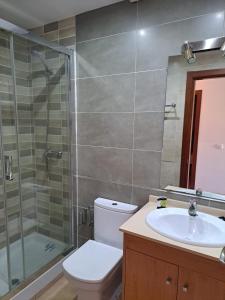 a bathroom with a toilet and a sink and a shower at Apartamentos Plaza in Nerja