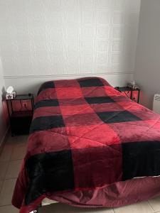 a red and black blanket on a bed in a bedroom at Charmant Petit Condo Ski in Val-Brillant +4 photos