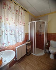 een badkamer met douche, toilet en wastafel bij Casas Rurales La Loma in Riópar