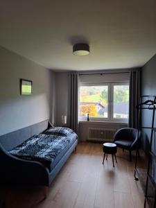 Un dormitorio con una cama y una ventana y una silla. en Ferienwohnung Im Wiesenrain, en Hausen-Wied